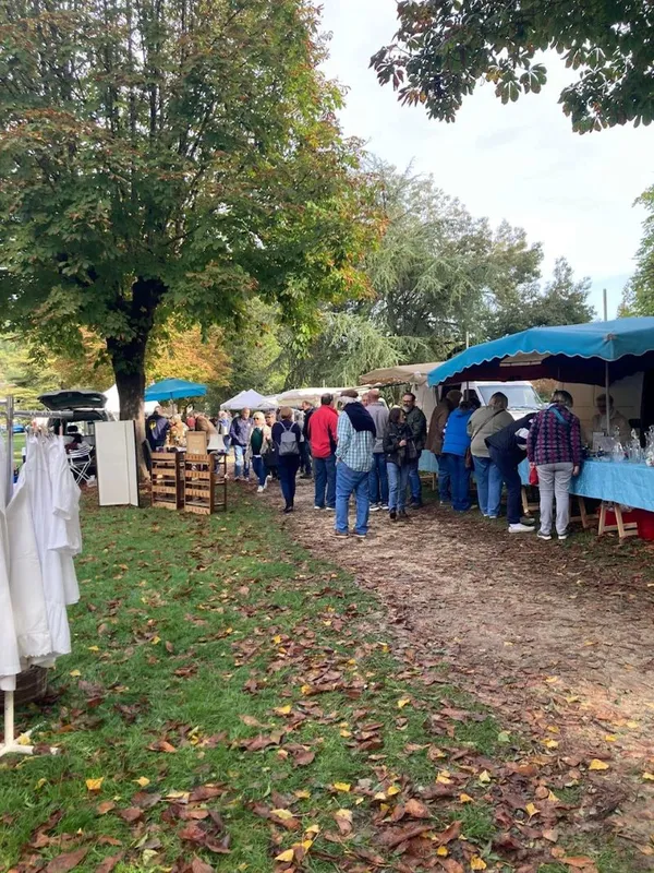 Brocante professionnelle