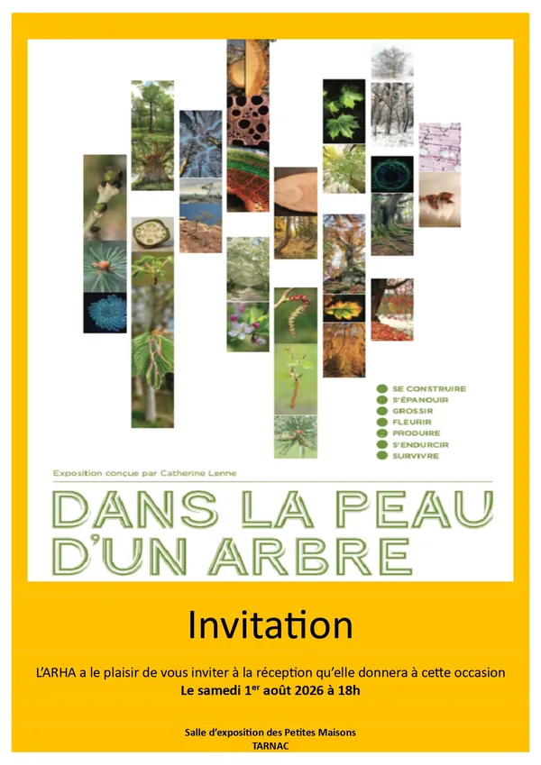 Exposition : Dans la peau d'un arbre