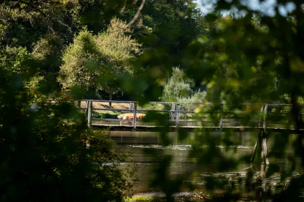 Balade contée "Contes et légendes de Gascogne"