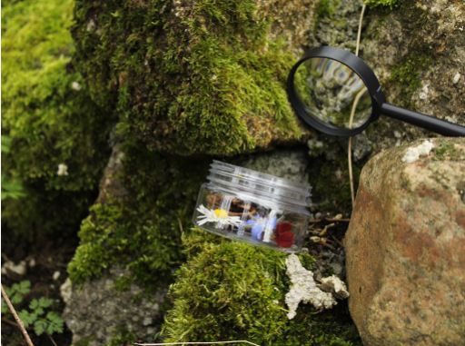 Labo des contes : Jardin dans tous les sens