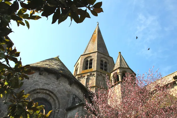 Visites commentées de la Collégiale et des vieux quartiers