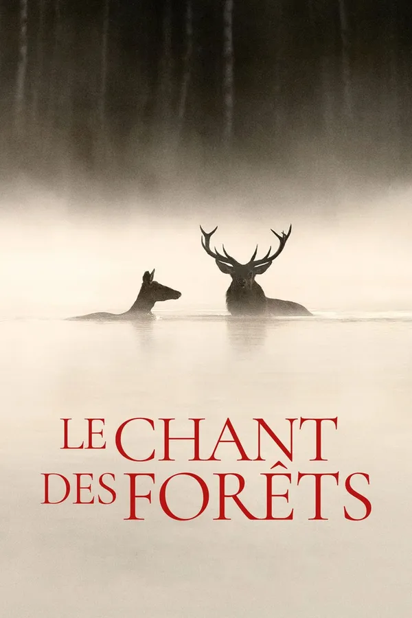 Cinéma en plein air " Le chant des forêts"