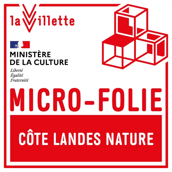 Atelier créatif en extérieur