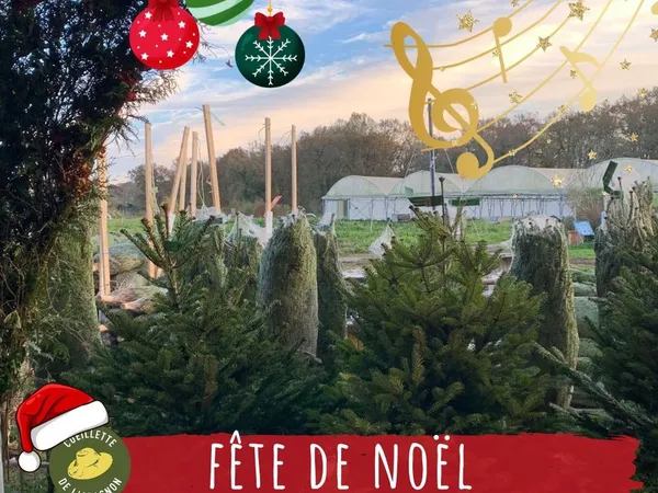 Marché de Noël, à la Cueillette de l'Aragnon