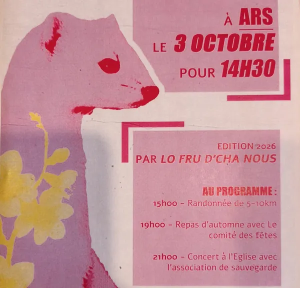Randonnée participative