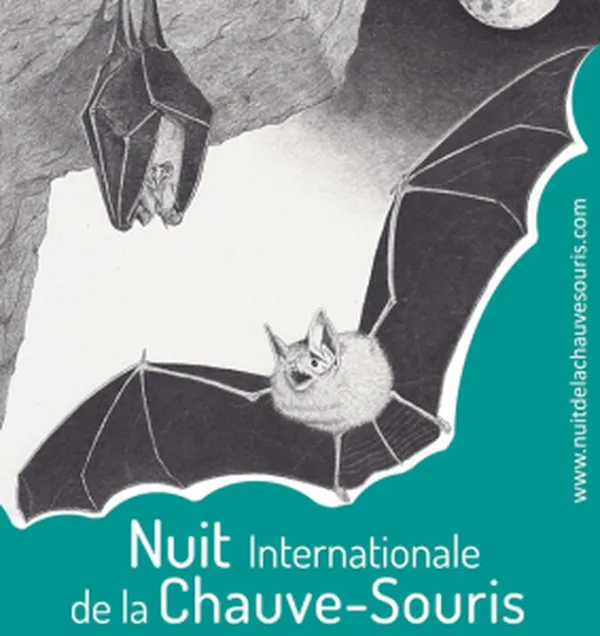 Nuit de la Chauve-Souris dans la Vallée du Thaurion