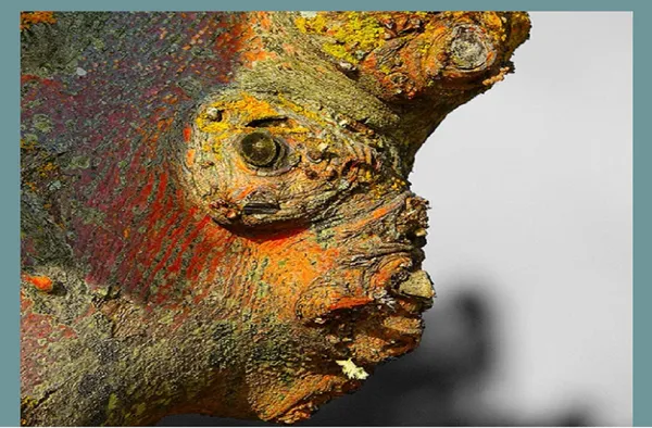Exposition I Alain Durieux & Bruno Boigontier