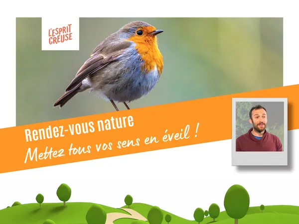 Rendez-vous Nature - Une forêt d'histoires