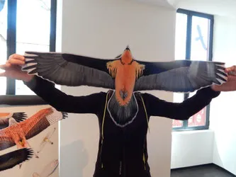 Exposition : L'as-tu vu ? Rapaces en Pyrénées Béarnaises