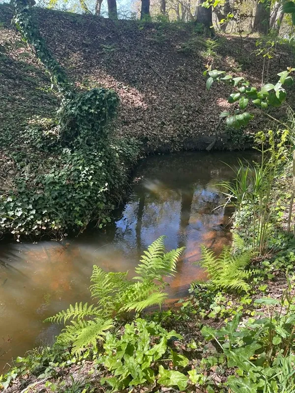 Balade contée le long du Bétey "Le murmure du ruisseau"