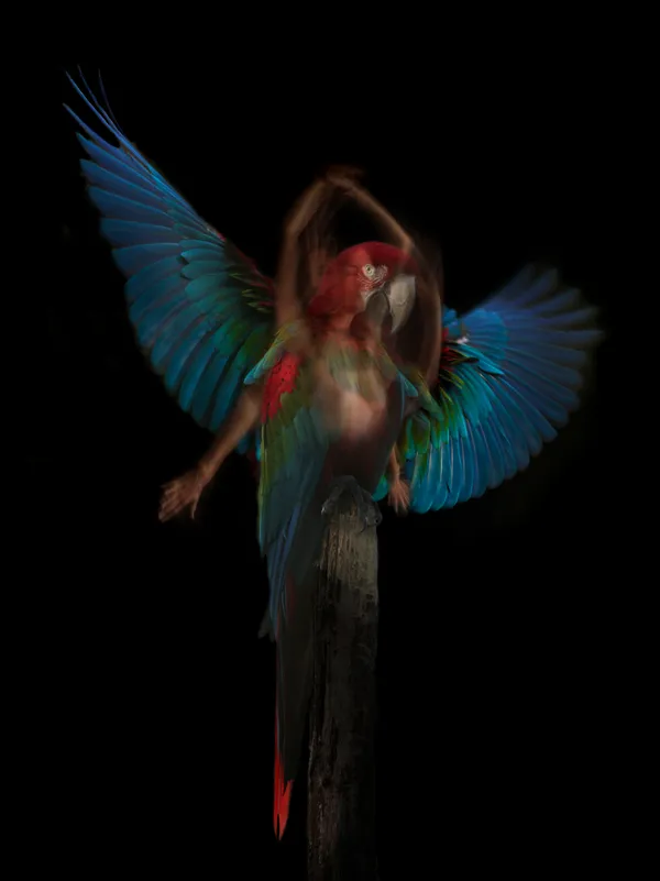 Exposition de photographies de Sandie Louit