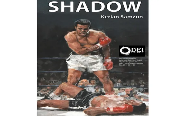 Exposition Shadow de Kerian Samzun