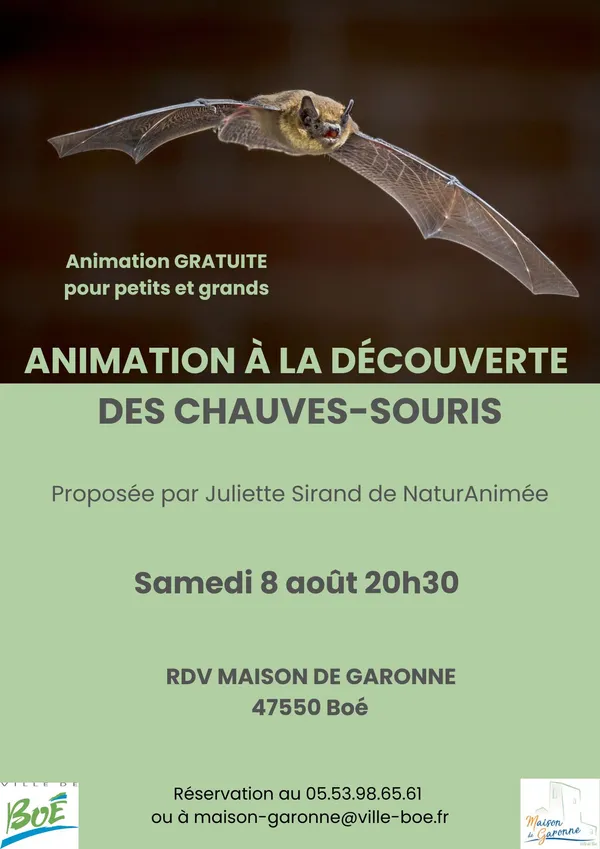 A la découverte des chauves-souris