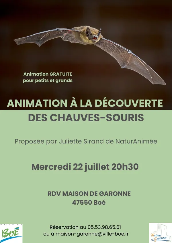 A la découverte des chauves-souris