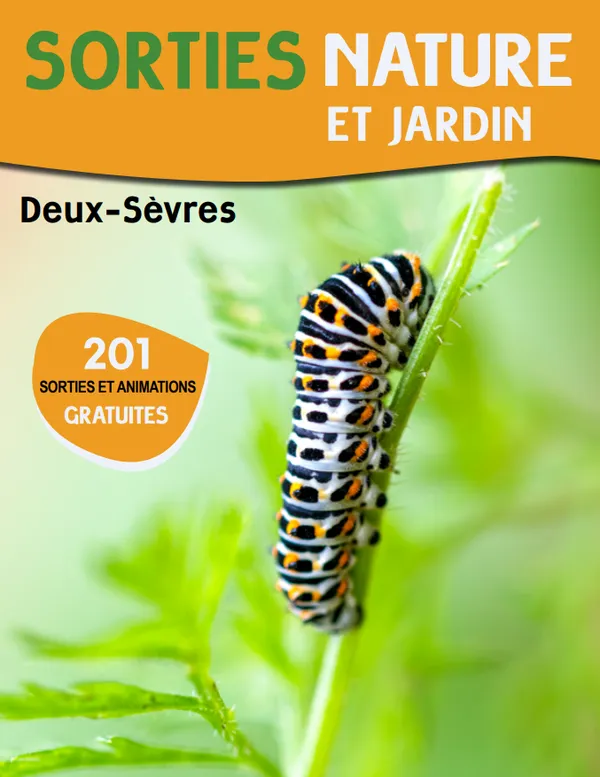 Sortie nature : A la rencontre des araignées