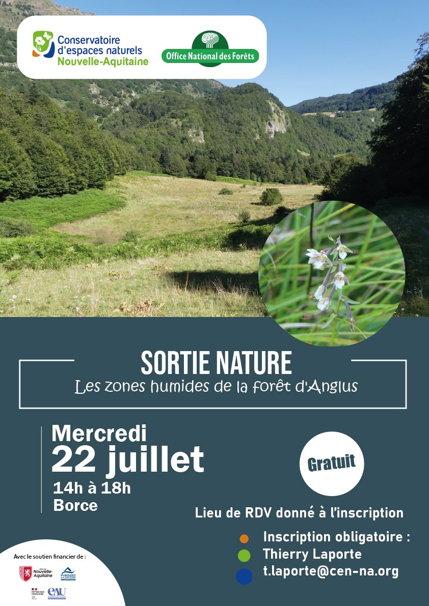 Sortie nature : Les zones humides de la forêt d'Anglus