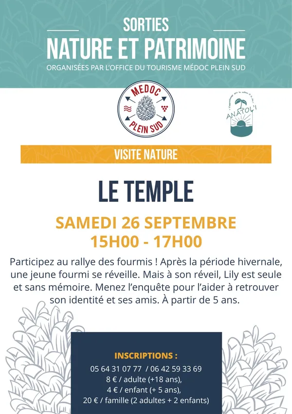 Sortie nature. Rallye des fourmis