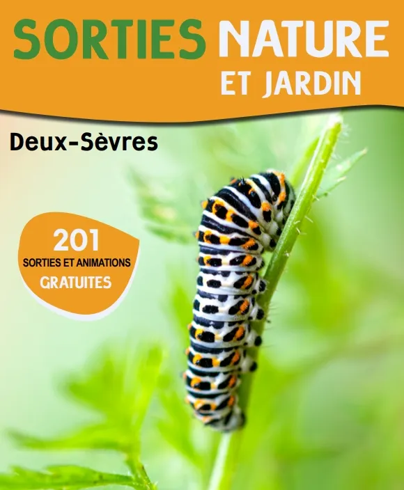 Sortie nature - Jouets buissonniers en balade