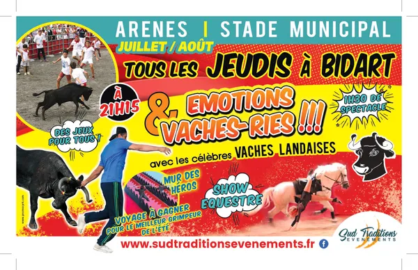 Emotions et vacheries !