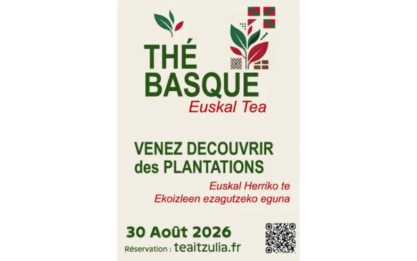 À la découverte des producteurs de thé basques