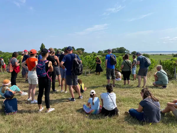 L'Échappée Vigneronne au château Tour Castillon