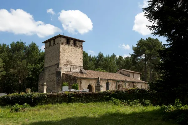 L'été de l'Office : Visite de l'église de Mons, patrimoine du 11ème siècle art roman