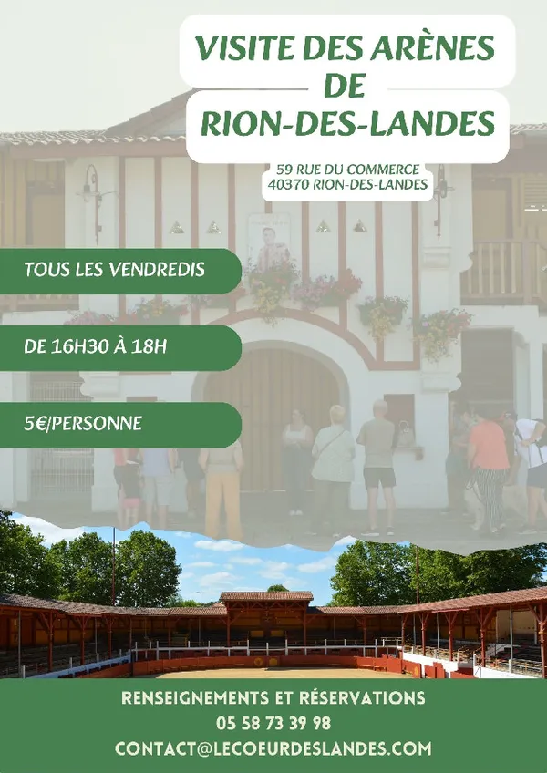 Visite des arènes de Rion des Landes
