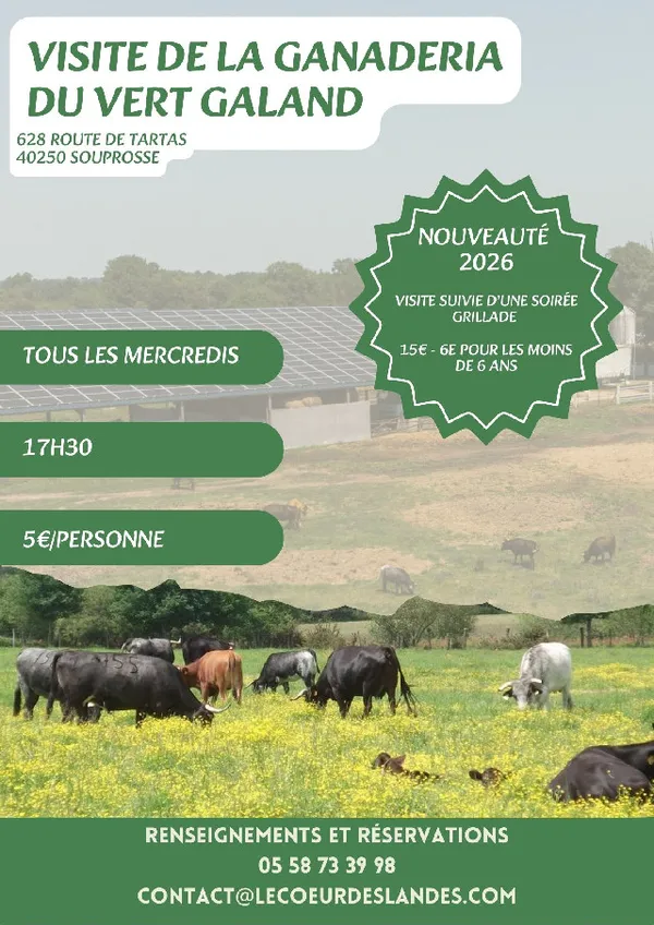Visite de la Ganadéria du Vert Galant