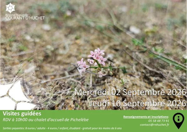 Partez à la découverte de la Réserve Naturelle du Courant d'Huchet