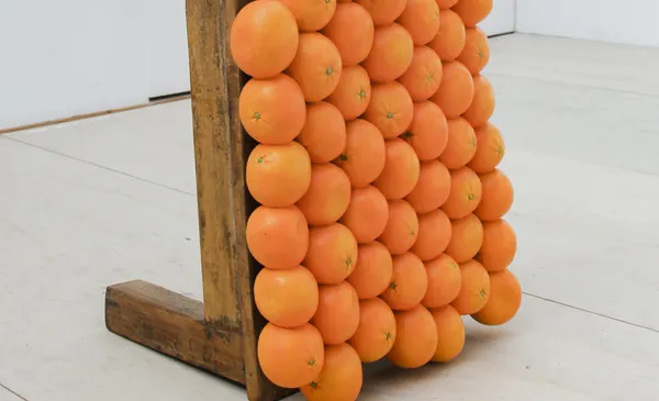 Exposition "Tutti Frutti"