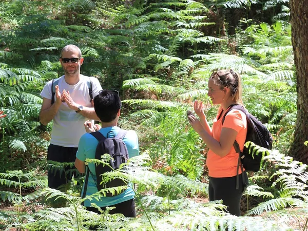 Bain de forêt