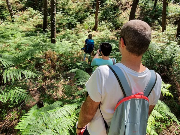Bain de forêt