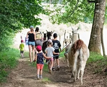 La fête de LamaZ