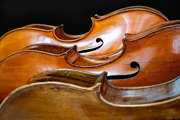 Bach en Combrailles : Récital Louis Marchand / Emmanuel Arakélian