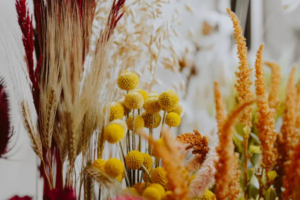 L'été de l'Office : Composition de fleurs séchées (complet)