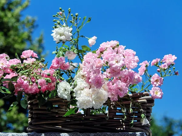 Ateliers créatifs fleurs séchées