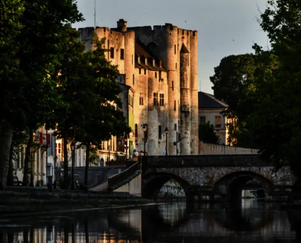 Visites commentées et exposition - L'été au Donjon de Niort
