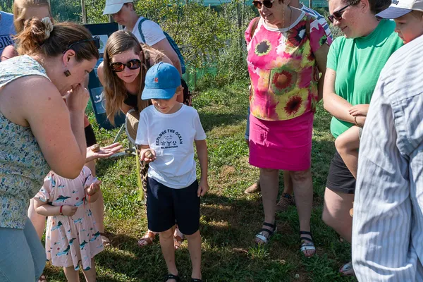 Visite d'un élevage d'escargots