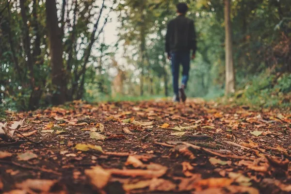Balade nature "Hommes et espèces sauvages une cohabitation possible"