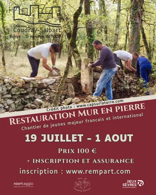 Restauration d'un mur en pierre au Château du Coudray-Salbart à Échiré