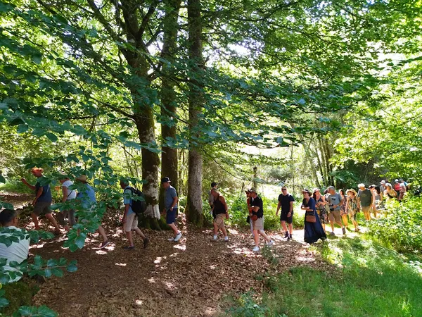 Sortie mycologique