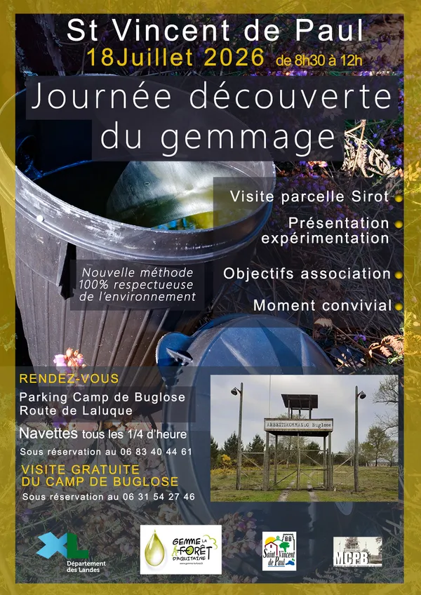 Journée découverte gemmage