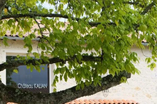 Château Kalian | Jeux & dégustation