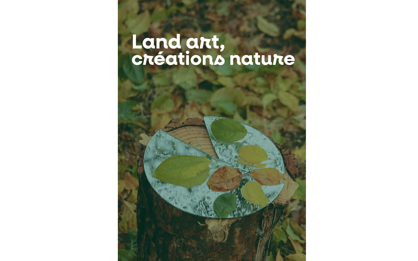 Atelier Land Art (créations nature)