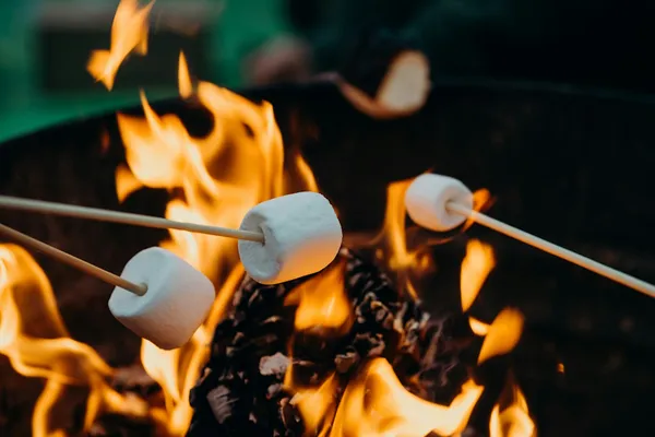 Chamallow grillés au camping des Roussilles