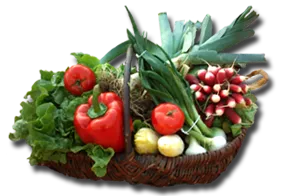 Petit marché traditionnel de Nérac