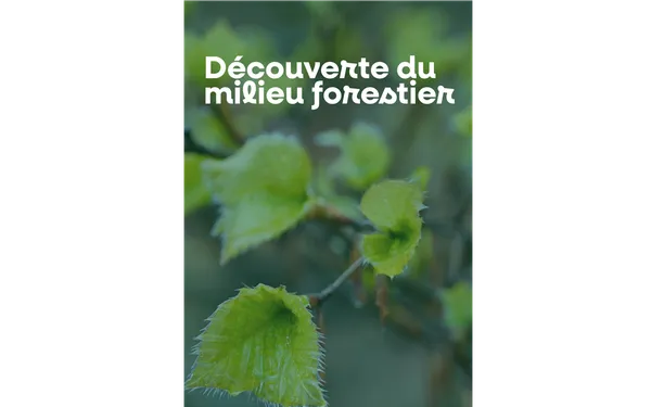 Découverte du milieu forestier