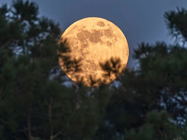 Observation du ciel nocturne