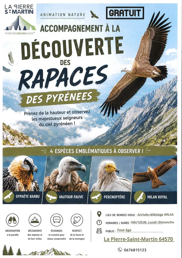 Accompagnement à la découverte des rapaces des Pyrénées
