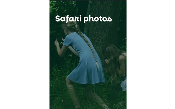 Safari photo